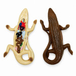 Lizard Dissection Model